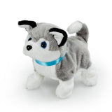 PLAYFUL PAL HUSKY