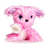 Scruff-a-luv familie asst