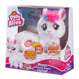Pets alive lama boppi