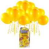 Party pump balloner asst