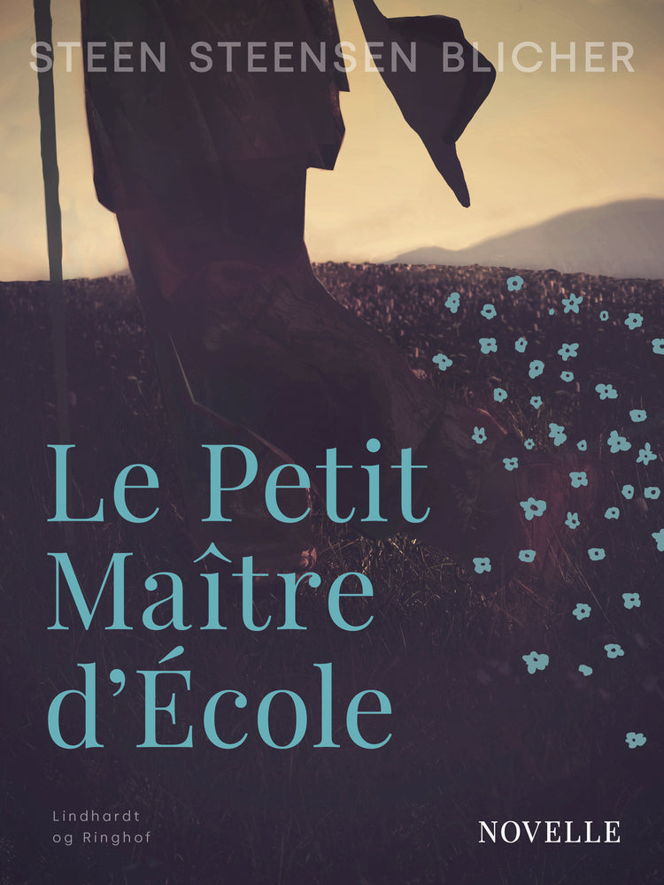 Le Petit Maître d École