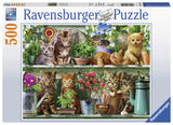 Puslespil cats on the shelf  500 brikker