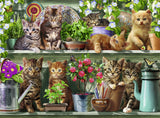 Puslespil cats on the shelf  500 brikker