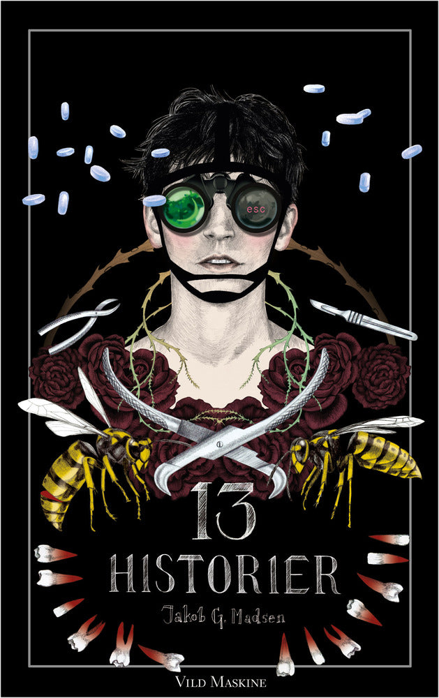 13 HISTORIER