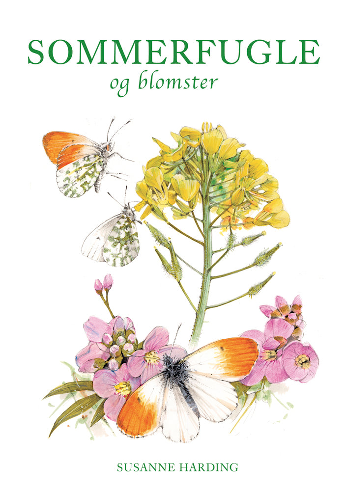 D1 SOMMERFUGLE OG BLOMSTER