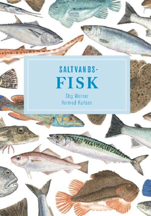 Saltvandsfisk- display med 10 stk