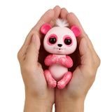 Fingerlings panda asst asst