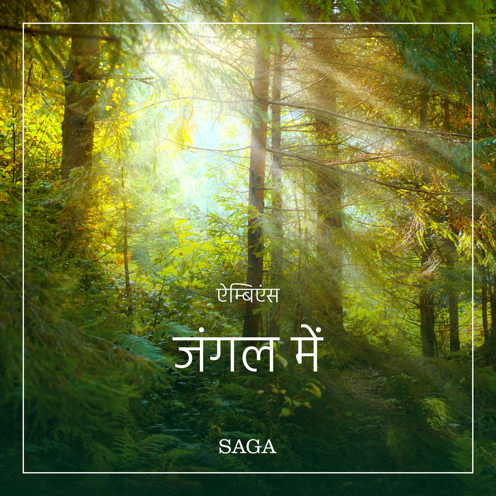 ऐम्बिएंस - जंगल में