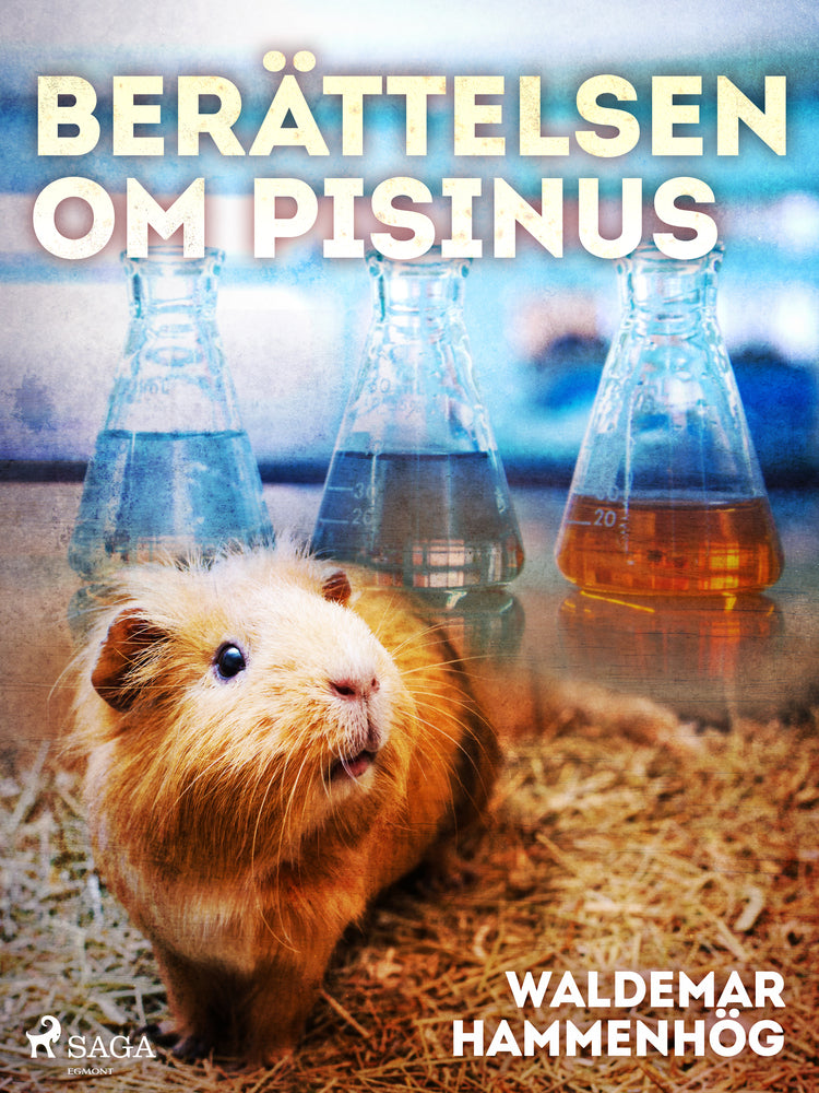 Berättelsen om Pisinus