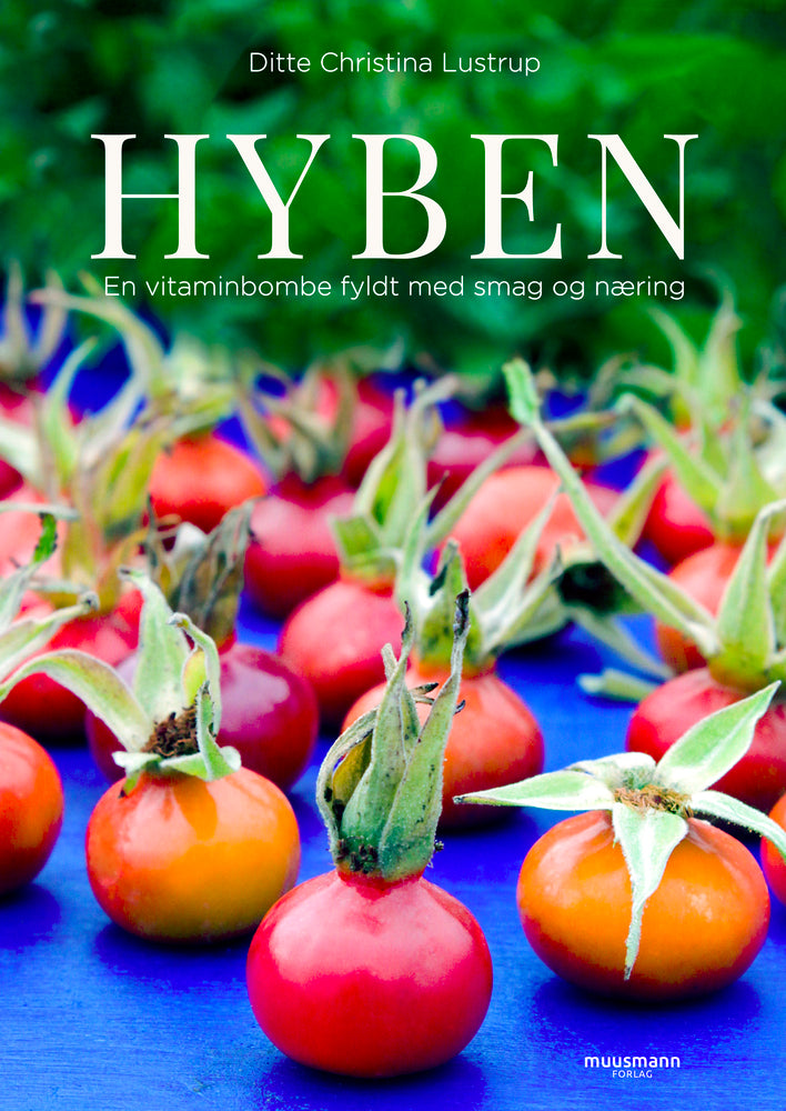 Hyben