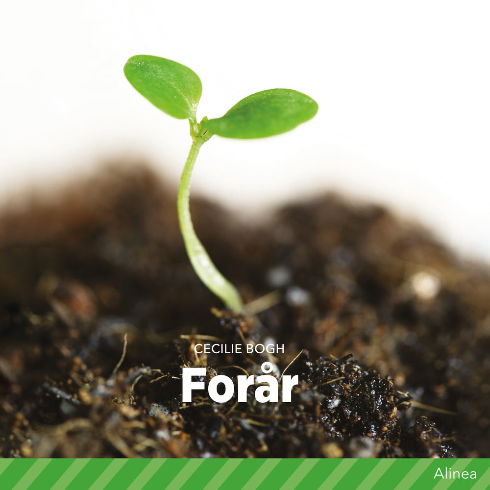 Forår