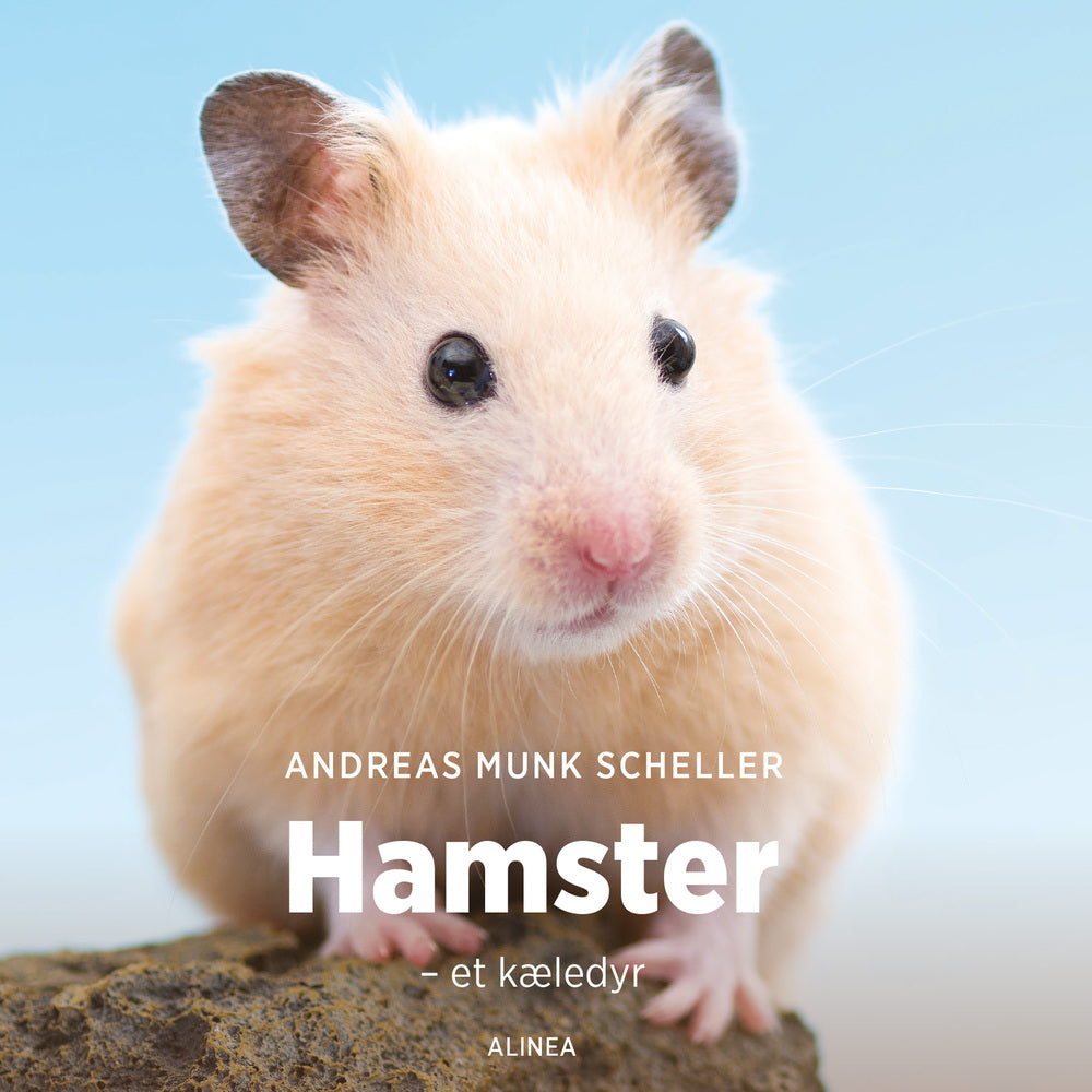 Hamster – et kæledyr