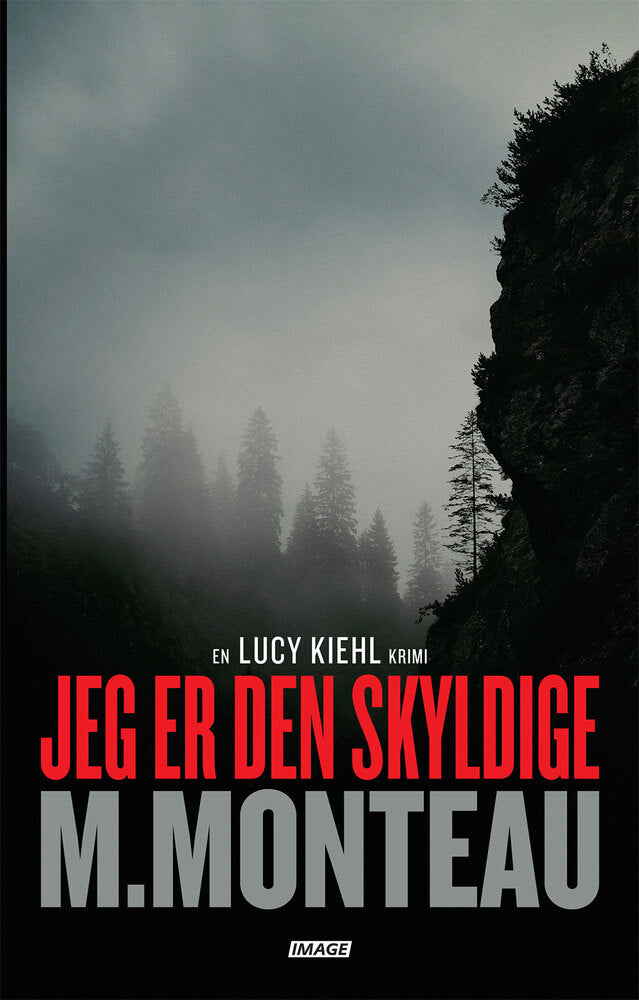 Jeg er den skyldige