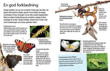 Insekter og edderkopper
