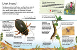 Insekter og edderkopper