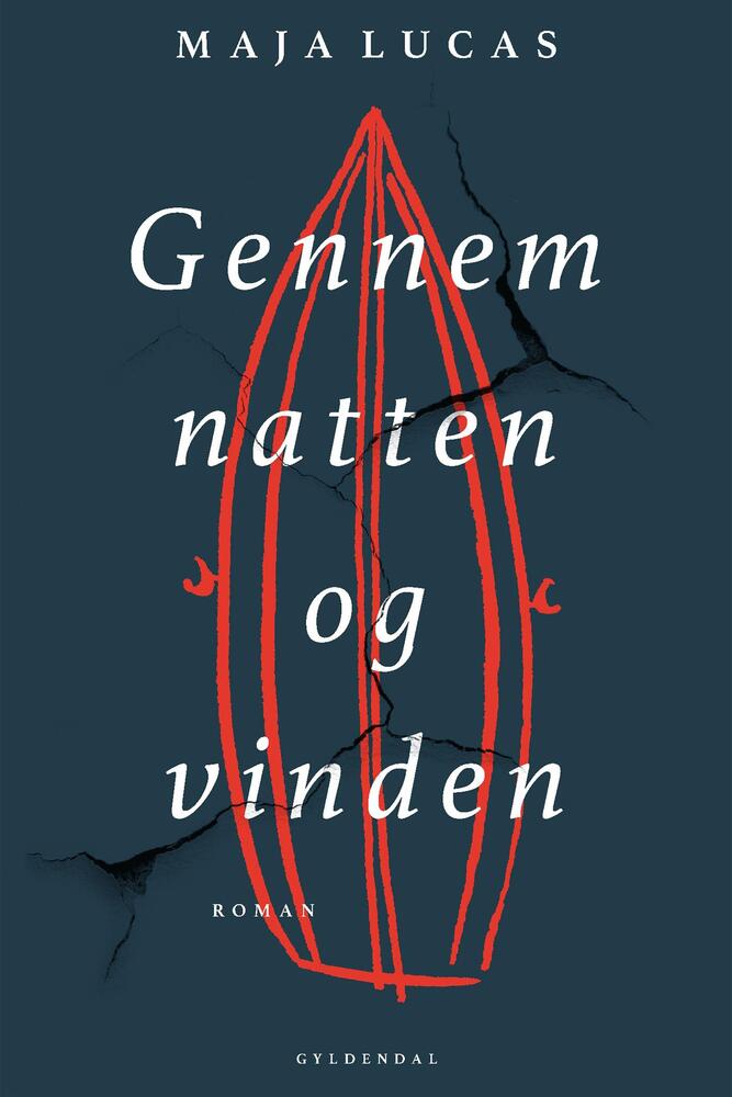 Gennem natten og vinden