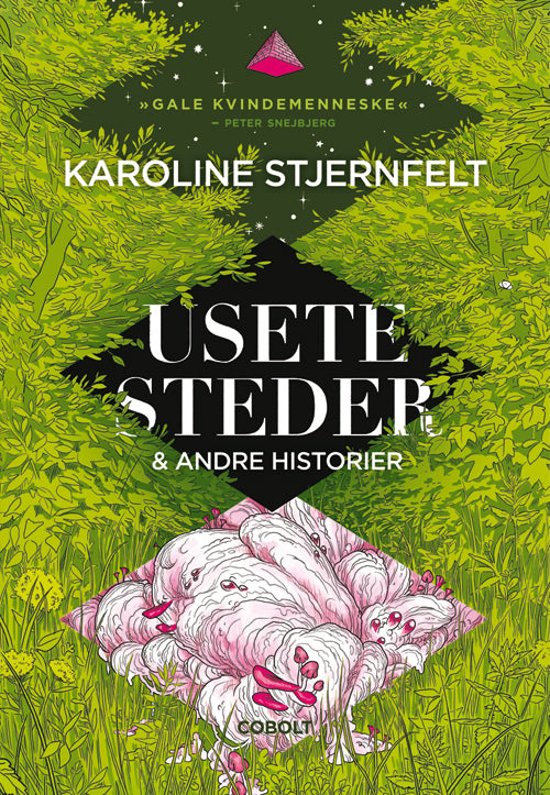 Usete steder