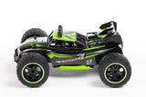 RC buggy