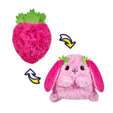 Fruit fiesta asst