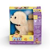 Playful pal labrador