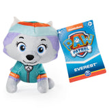 Paw patrol mini plys