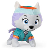 Paw patrol mini plys