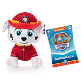 Paw patrol mini plys