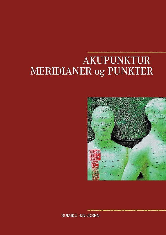 Akupunktur Meridianer og Punkter