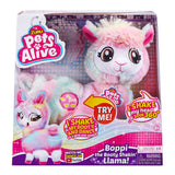 Pets alive dancing rainbow lama