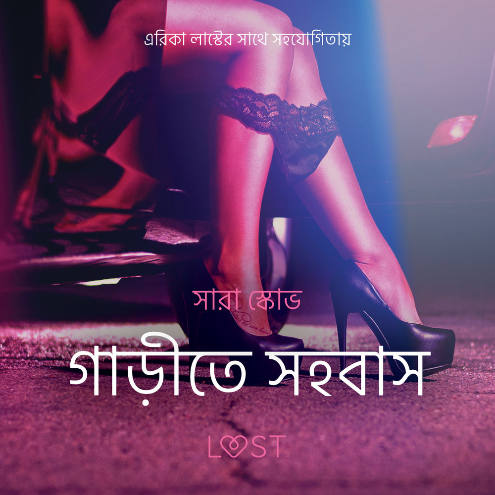 গাড়ীতে সহবাস - একটি আদিরসাত্মক ছোট গল্প