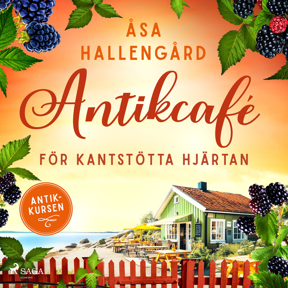Antikcafé för kantstötta hjärtan