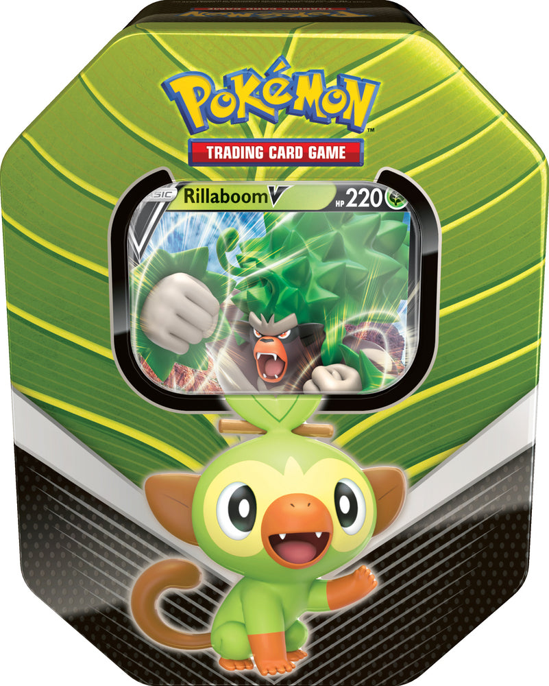 Pokémon spring tin 2020 galar partners