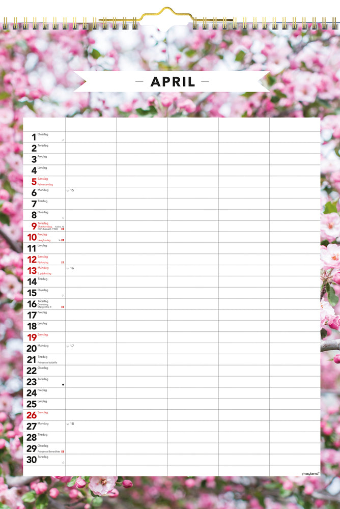 Familiekalender A3 moderne 2021 Mayland