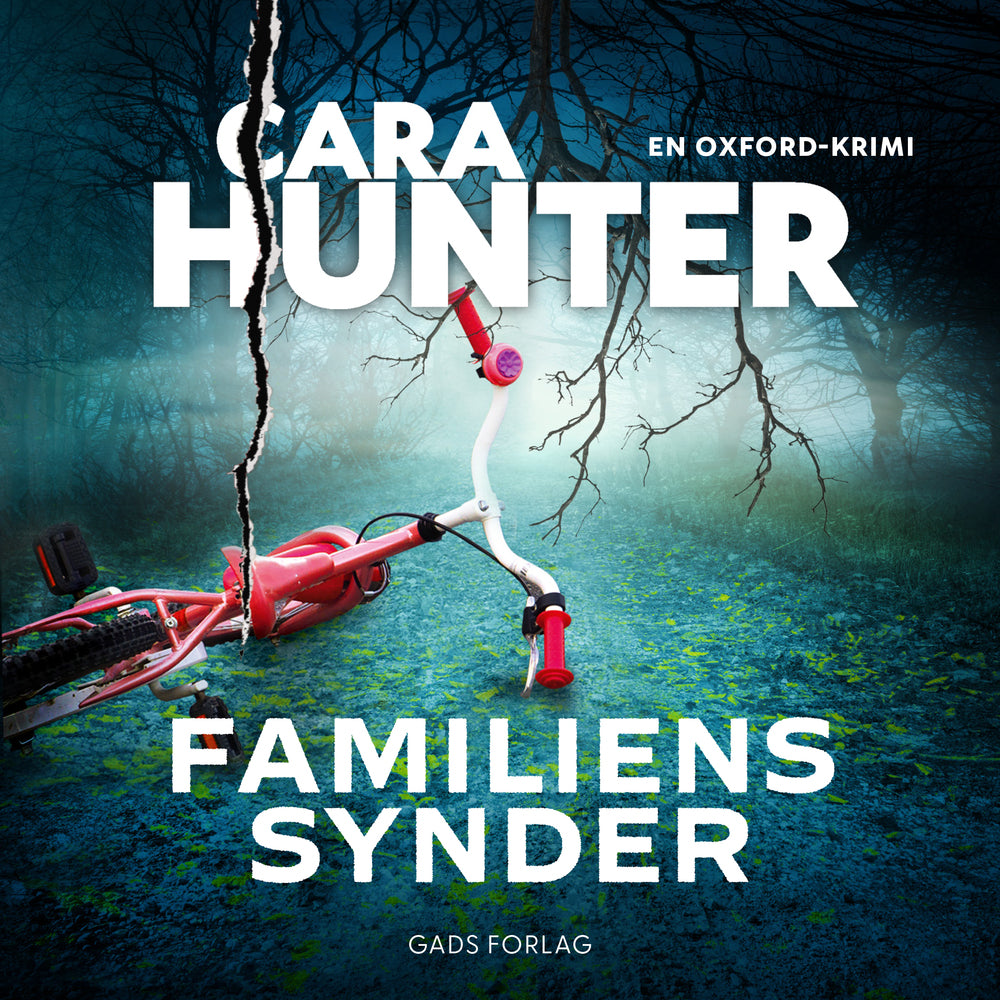 Familiens synder