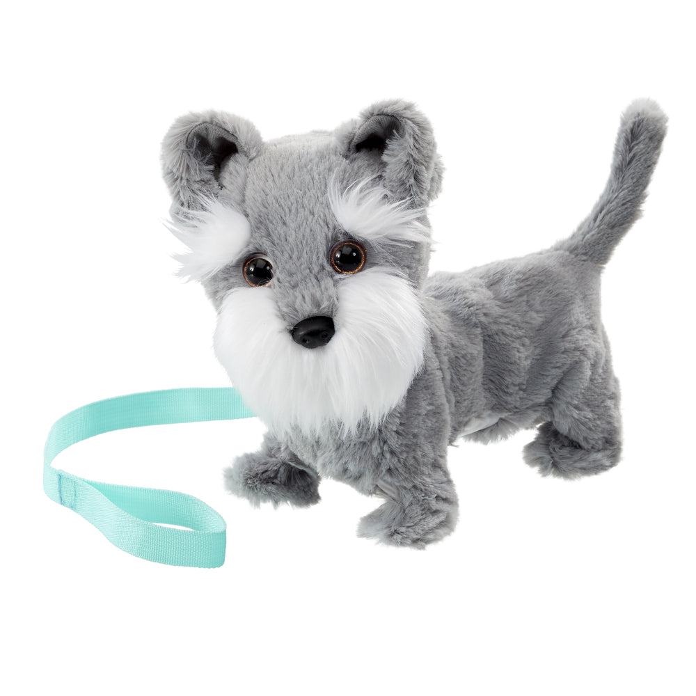 Tilly the terrier