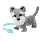 Tilly the terrier