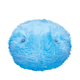 Rizmo aqua