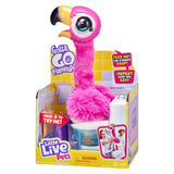 Gotta go flamingo