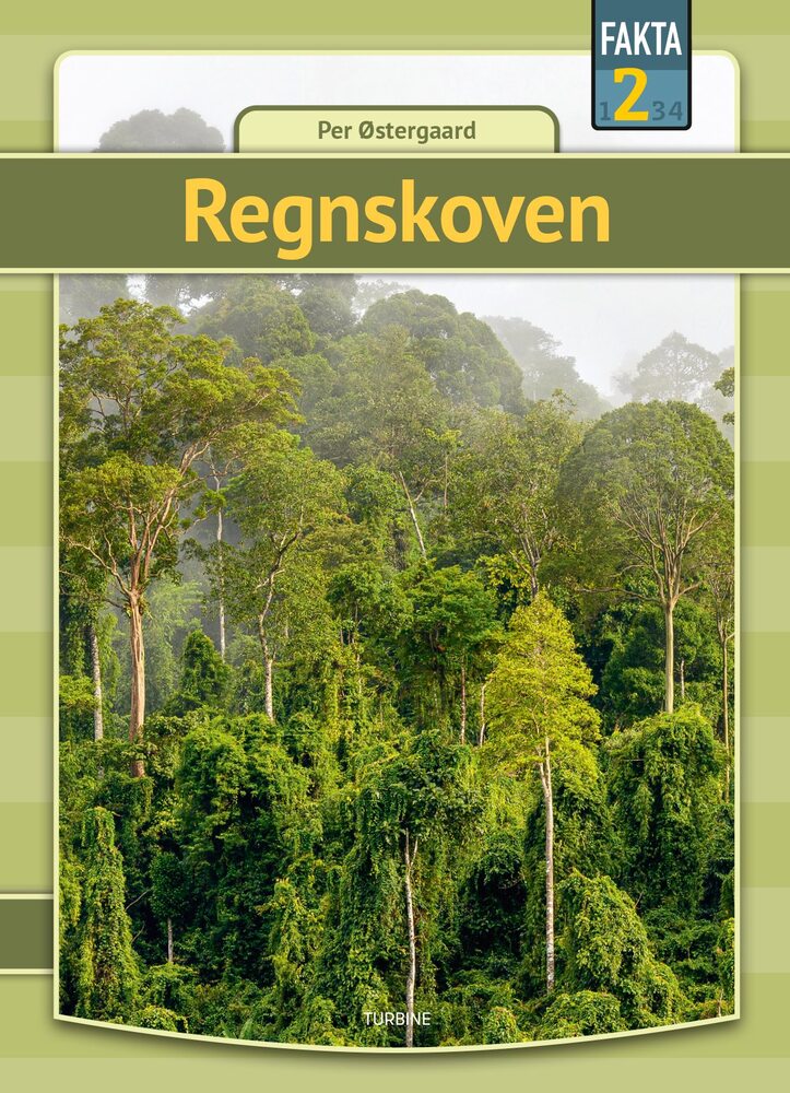 Regnskoven