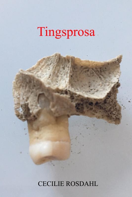 Tingsprosa