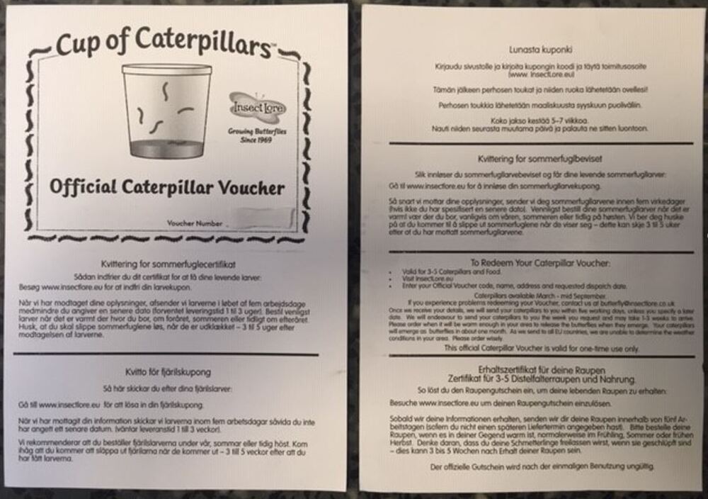 Værdikupon til ekstra sommerfuglelarver