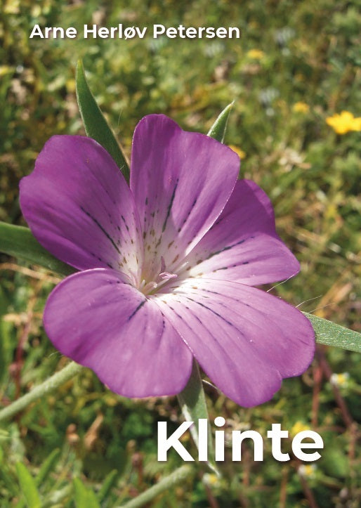 Klinte