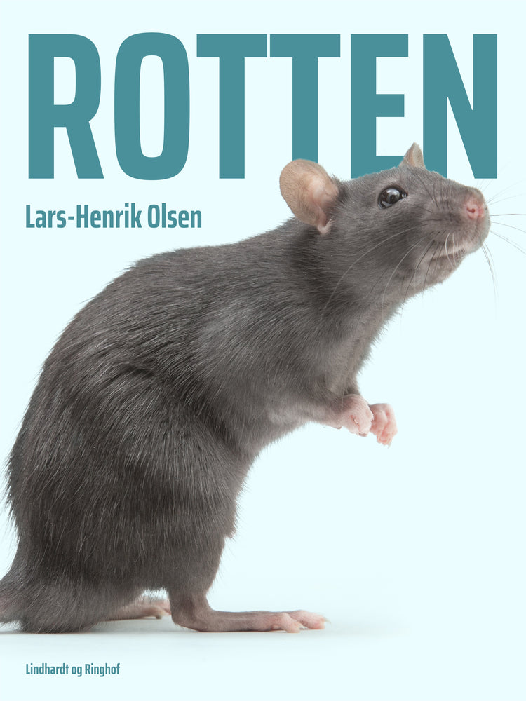 Rotten