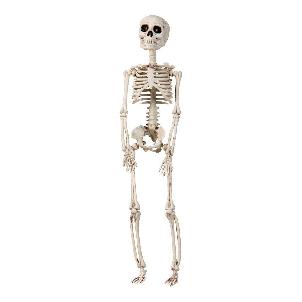 Skelet 29 cm