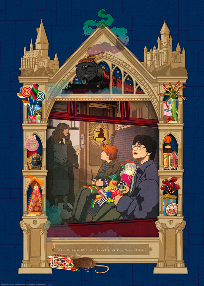 Puslespil Harry Potter Hogwarts 1000 brikker