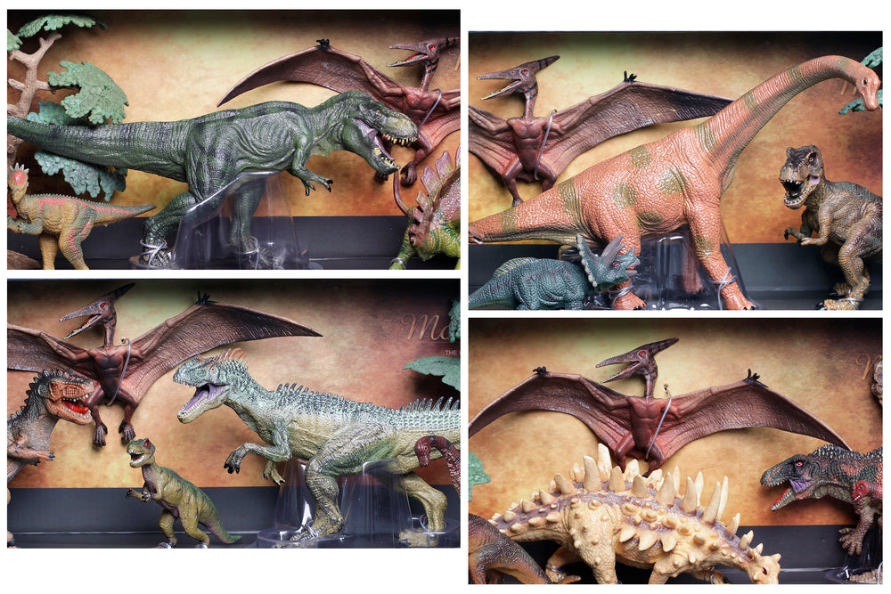 Dinosaurer og planter large asst