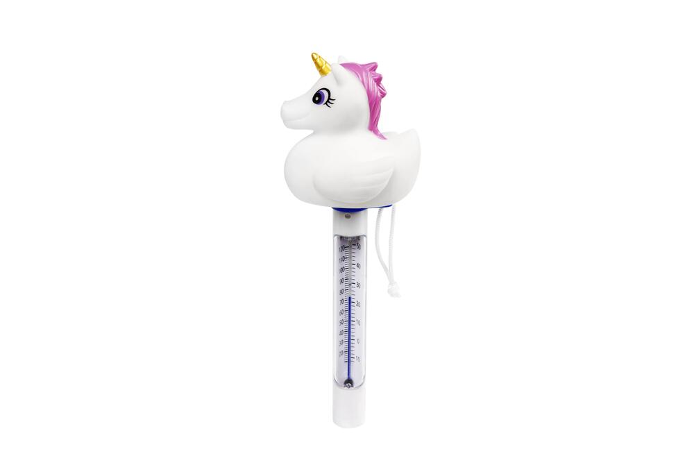Pool Termometer asst