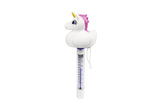 Pool Termometer asst