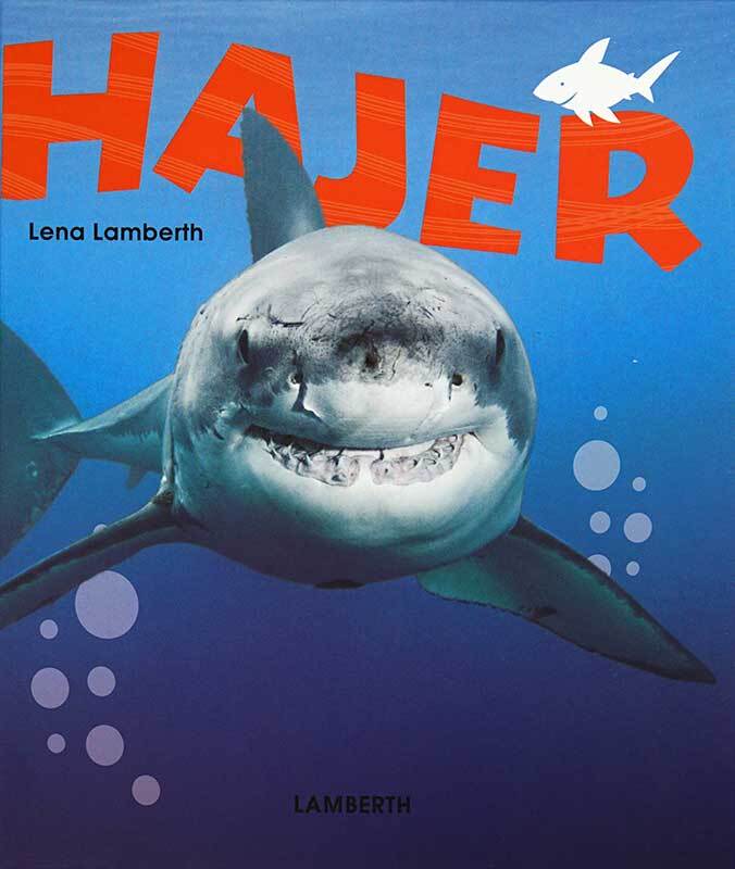 Hajer