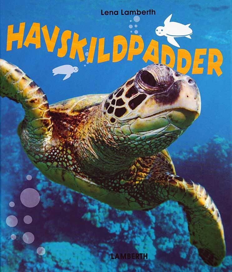 Havskildpadder